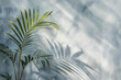 palm leaf with shadow on the light blue wall background. Natural light cozy wallpaper for advertisement and presentation.