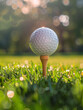 A glowing golf ball is perched on a wooden tee, set against a backdrop of lush green grass and the enchanting, muted colors of the fading daylight.