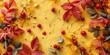 Fall autumn leaves background with yellow and red leaves, with red berries. Harvest season leafy backdrop. Copy space for the text.  Top view. Flat lay