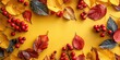 Fall autumn leaves background with yellow and red leaves, with red berries. Harvest season leafy backdrop. Copy space for the text.  Top view. Flat lay