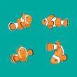 Clown fish isolated on green background, reef fish, vector illustration.