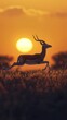 An impala in full stride crosses the savanna, its streamlined body perfectly spotlighted by the warm glow of the setting sun