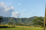 Fototapeta Góry - Mountains in Kauai Hawaii Summertime, Landscape, Sunshine