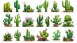 An icon set of green prickly cacti with blossoms and spikes. Modern illustration of cute cactuses, succulents, and desert plants.