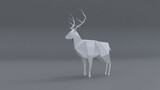 Fototapeta Do przedpokoju - 3d rendering of a reindeer isolated in a studio background