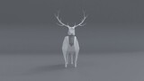 Fototapeta Do przedpokoju - 3d rendering of a reindeer isolated in a studio background