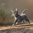 A cute little cat runs freely in the sunlight