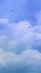 Wall Mural - Vertical Flock of Birds Flying in the Clouds 4K Loop features birds flying across the sky with clouds moving across the opposite direction in a vertical ratio loop.