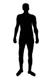 Fototapeta Koty - Man body  silhouette isolated on white background