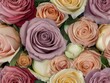 Colorful roses in a bridal bouquet as a background.