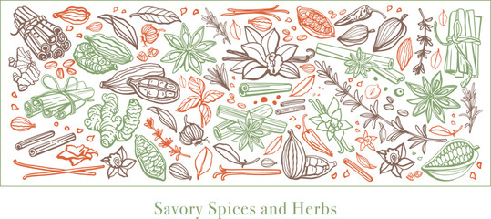 Wall Mural - Hand drawn savory spices and herbs. Set. Vanilla, cinnamon, garlic, ginger, anise, basil, rosemary, turmeric, thyme, pepper, peppercorns, cocoa, coffee, badian, cloves, chili. Mulled wine. Template.