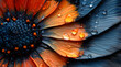 Nature's Detail: Microscopic Textures of Butterfly Wing and Flower Petal