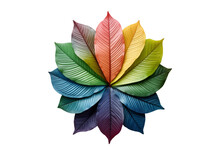 Colorful Autumn Leaves Isolated On Transparent Background, Cut Out, PNG