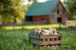 A small wooden crate of fresh eggs with a soft focus barn behind