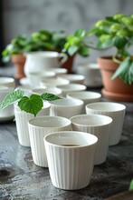 A Table With Cups Of Coffee And A Plant In It, AI