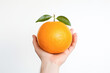 Hand holding a ripe orange fruit against a white background, showcasing its vibrant color and juicy freshness, rich in vitamin C and bursting with flavor.