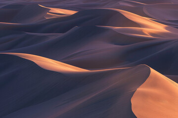Wall Mural - capturing the quiet mesmerizing beauty of desert sand dunes under the golden light of the setting su