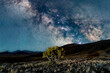 Core of the Milky Way and nebula over a tree and mountain landscape