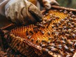 A beekeeper is tending to a hive of bees. The bees are busy collecting nectar and pollen. The beekeeper is wearing gloves and a white shirt. Concept of hard work and dedication to the bees