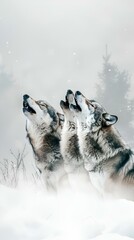 Wall Mural - AI generated illustration of three wolves howling in snow near pine forest