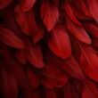 Enhance your design with a rich red feather background that gives any project a dash of glitz and sophistication.