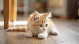 Fototapeta  - kitten on the floor
