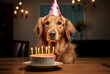 party cake with a candle and in front of it a golden retriever dog with a birthday hat on his head сreated with Generative Ai
