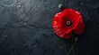 Stylized Red Poppy Flower Symbolizing Remembrance Generative AI