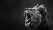 high contrast portrait, black and white, detailed, lion looking forward roaring