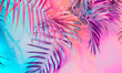 abstract background with palms
