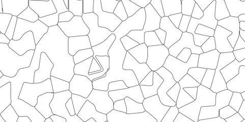 Wall Mural - Abstract white crystalized broken glass background .black stained glass window art pattern vector illustration. broken stained glass black lines geometric pattern .