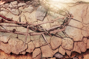 Wall Mural - Crown Of Thorns Of Jesus Christ on floor