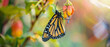 Beautiful monarch butterfly emerging from its chrysalis, symbolizing transformation and rebirth in nature's cycle.