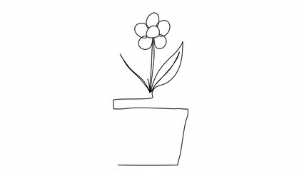 Wall Mural - Flower in a pot. One line drawing animation with alpha channel.