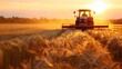 a tractor is driving through a field of wheat at sunset