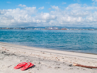 Wall Mural - Bright pink sandals left by water's edge on Matakana Island.