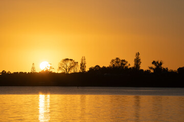 Wall Mural - Tree and land silhouette across bay as sunrises.