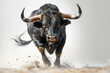 A bull charging in full speed