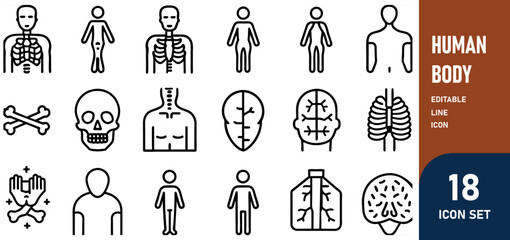 Wall Mural - Human Body Line Editable Icons set. Vector illustration in modern thin line style of human anatomy icons organs, body parts, skeleton parts, Pictograms and infographics for mobile