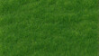 Vibrant green grass texture ideal for adding a natural touch to your designs.