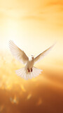 Fototapeta Sport - Beautiful white dove flying in the sky