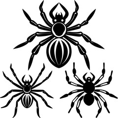 Wall Mural - Spider's vector icons silhouette 