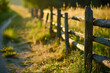 A fence with a wooden post and a wooden post. The fence is in a field with grass and trees