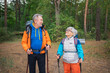Hiking tourism adventure. Senior couple man woman enjoying outdoor recreation hiking in forest. Happy old people backpackers hikers enjoy walking hike trekking tourism active vacation beauty of nature