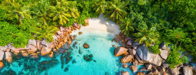 Wall Mural - Tropical haven with crystal waters enclosed by lush greenery. Pristine beach paradise encircled by verdant foliage beckons tranquility. Panorama with copy space.