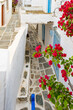 White houses in narrow alley of traditional Kastro village with bougainvillea flowers in foreground, Sifnos island, Greece