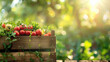 fresh vegetables in a wooden box on a nature background
