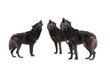 three howling wolf winter isolated on a white background.
