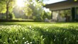 © Matthew - The image captures the serene essence of a dew-soaked lawn in the morning Sunlight filters through the trees, showcasing the lush green of the grass and creating a tranquil atmosphere