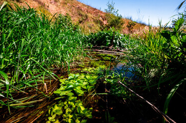 Water and landscape